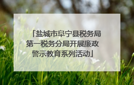 盐城市阜宁县税务局第一税务分局开展廉政警示教育系列活动