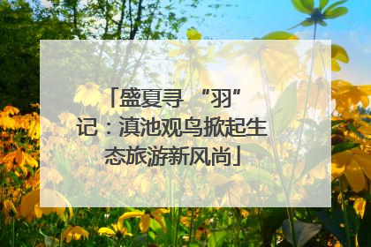 盛夏寻 “羽” 记：滇池观鸟掀起生态旅游新风尚