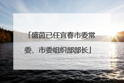 盛茵已任宜春市委常委、市委组织部部长