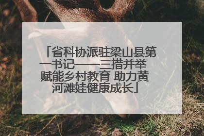 省科协派驻梁山县第一书记——三措并举 赋能乡村教育 助力黄河滩娃健康成长