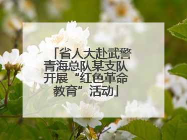 省人大赴武警青海总队某支队开展“红色革命教育”活动