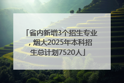 省内新增3个招生专业，烟大2025年本科招生总计划7520人
