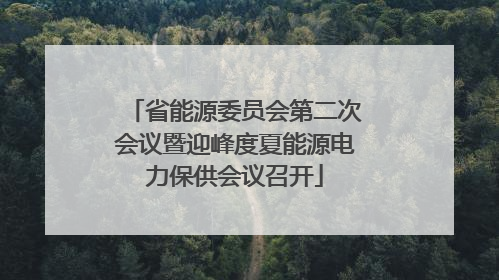 省能源委员会第二次会议暨迎峰度夏能源电力保供会议召开