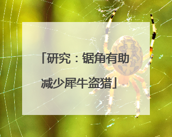 研究：锯角有助减少犀牛盗猎