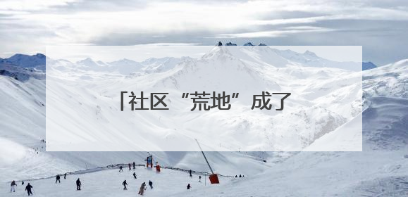 社区“荒地”成了党员“责任田”