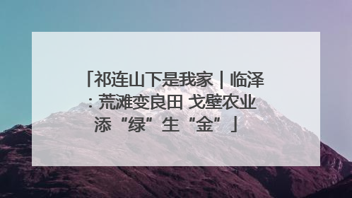 祁连山下是我家｜临泽：荒滩变良田 戈壁农业添“绿”生“金”