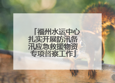 福州水运中心扎实开展防汛备汛应急救援物资专项督察工作