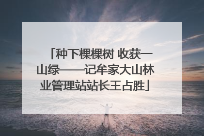 种下棵棵树 收获一山绿——记牟家大山林业管理站站长王占胜