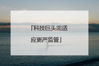 科技巨头需适应更严监管
