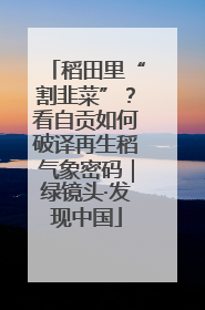 稻田里“割韭菜”？看自贡如何破译再生稻气象密码｜绿镜头·发现中国