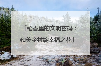 稻香里的文明密码：和美乡村绽幸福之花