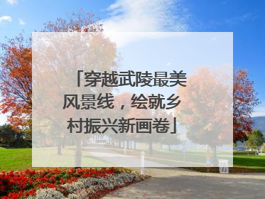 穿越武陵最美风景线，绘就乡村振兴新画卷