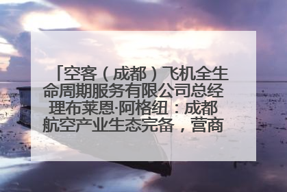 空客（成都）飞机全生命周期服务有限公司总经理布莱恩·阿格纽：成都航空产业生态完备，营商环境优势显著