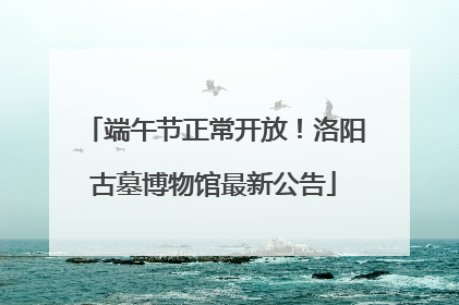 端午节正常开放！洛阳古墓博物馆最新公告