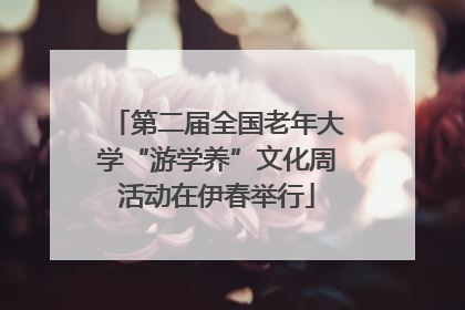 第二届全国老年大学“游学养”文化周活动在伊春举行