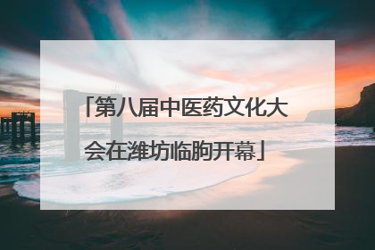 第八届中医药文化大会在潍坊临朐开幕