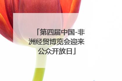 第四届中国-非洲经贸博览会迎来公众开放日