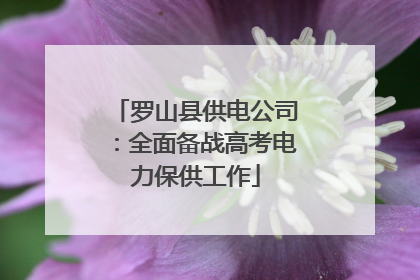罗山县供电公司：全面备战高考电力保供工作