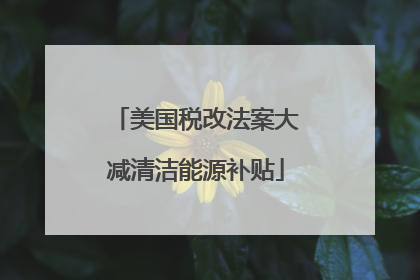 美国税改法案大减清洁能源补贴