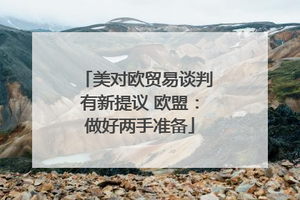 美对欧贸易谈判有新提议 欧盟：做好两手准备