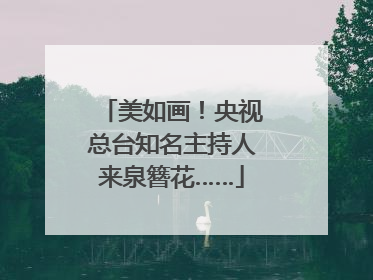 美如画！央视总台知名主持人来泉簪花……