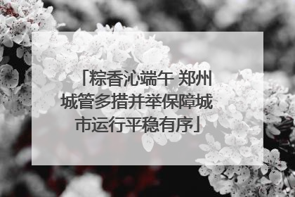 粽香沁端午 郑州城管多措并举保障城市运行平稳有序
