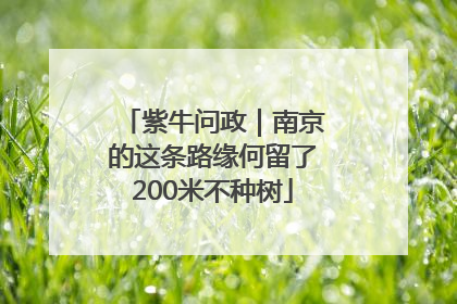 紫牛问政｜南京的这条路缘何留了200米不种树