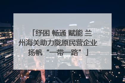 纾困 畅通 赋能 兰州海关助力陇原民营企业扬帆“一带一路”