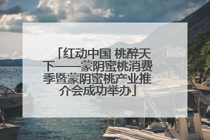 红动中国 桃醉天下——蒙阴蜜桃消费季暨蒙阴蜜桃产业推介会成功举办