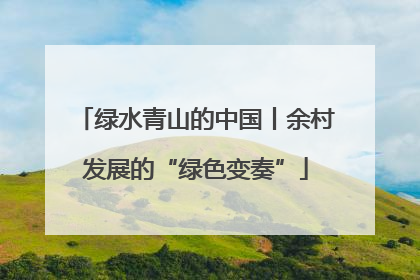 绿水青山的中国丨余村发展的“绿色变奏”