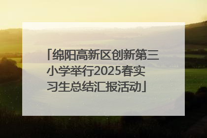 绵阳高新区创新第三小学举行2025春实习生总结汇报活动