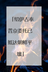 绍伊古奉普京委托已抵达朝鲜平壤