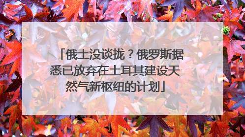俄土没谈拢？俄罗斯据悉已放弃在土耳其建设天然气新枢纽的计划