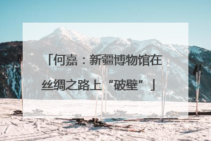 何嘉：新疆博物馆在丝绸之路上“破壁”