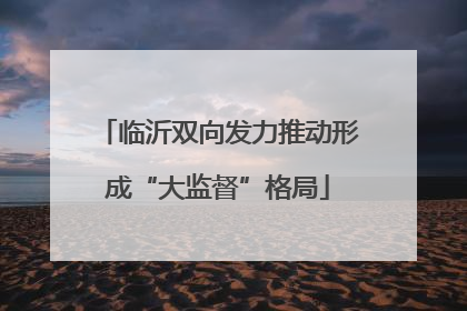 临沂双向发力推动形成“大监督”格局