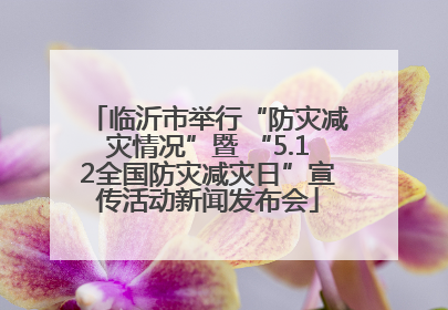 临沂市举行“防灾减灾情况”暨 “5.12全国防灾减灾日”宣传活动新闻发布会