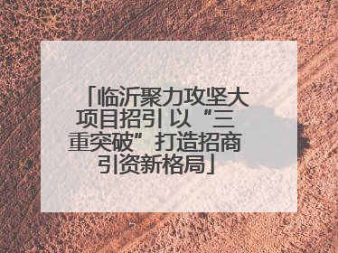 临沂聚力攻坚大项目招引 以“三重突破”打造招商引资新格局