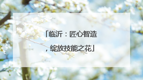 临沂：匠心智造，绽放技能之花