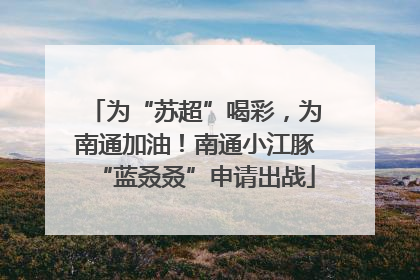 为“苏超”喝彩，为南通加油！南通小江豚“蓝叒叒”申请出战