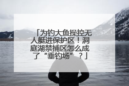 为钓大鱼操控无人艇进保护区！洞庭湖禁捕区怎么成了“垂钓场”？