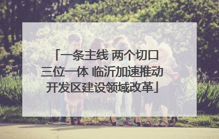 一条主线 两个切口 三位一体 临沂加速推动开发区建设领域改革
