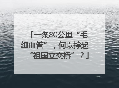 一条80公里“毛细血管”，何以撑起“祖国立交桥”？