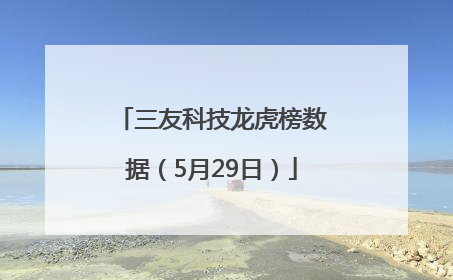三友科技龙虎榜数据（5月29日）