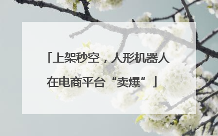 上架秒空，人形机器人在电商平台“卖爆”