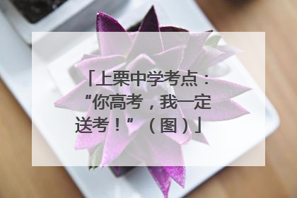 上栗中学考点：“你高考，我一定送考！”（图）