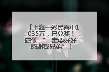 上海一彩民喜中1035万，已兑奖！感慨 “一定要好好感谢我兄弟”