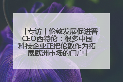 专访丨伦敦发展促进署CEO西特伦：很多中国科技企业正把伦敦作为拓展欧洲市场的门户