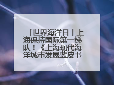 世界海洋日丨上海保持国际第一梯队！《上海现代海洋城市发展蓝皮书2024评估报告》发布