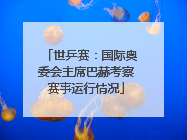世乒赛：国际奥委会主席巴赫考察赛事运行情况