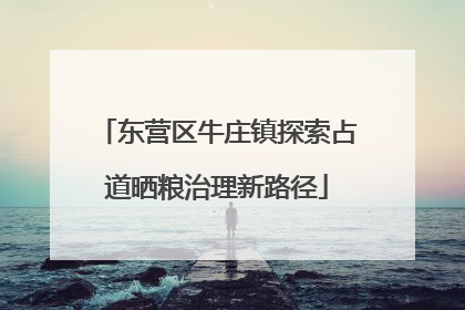 东营区牛庄镇探索占道晒粮治理新路径